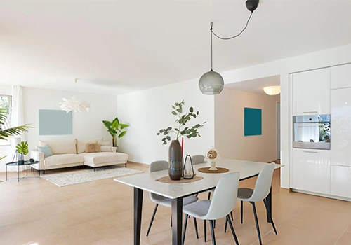 Home Renewal-2